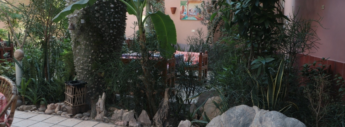 ga (2)