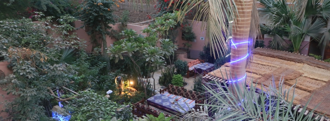 garden view from the 1. floor